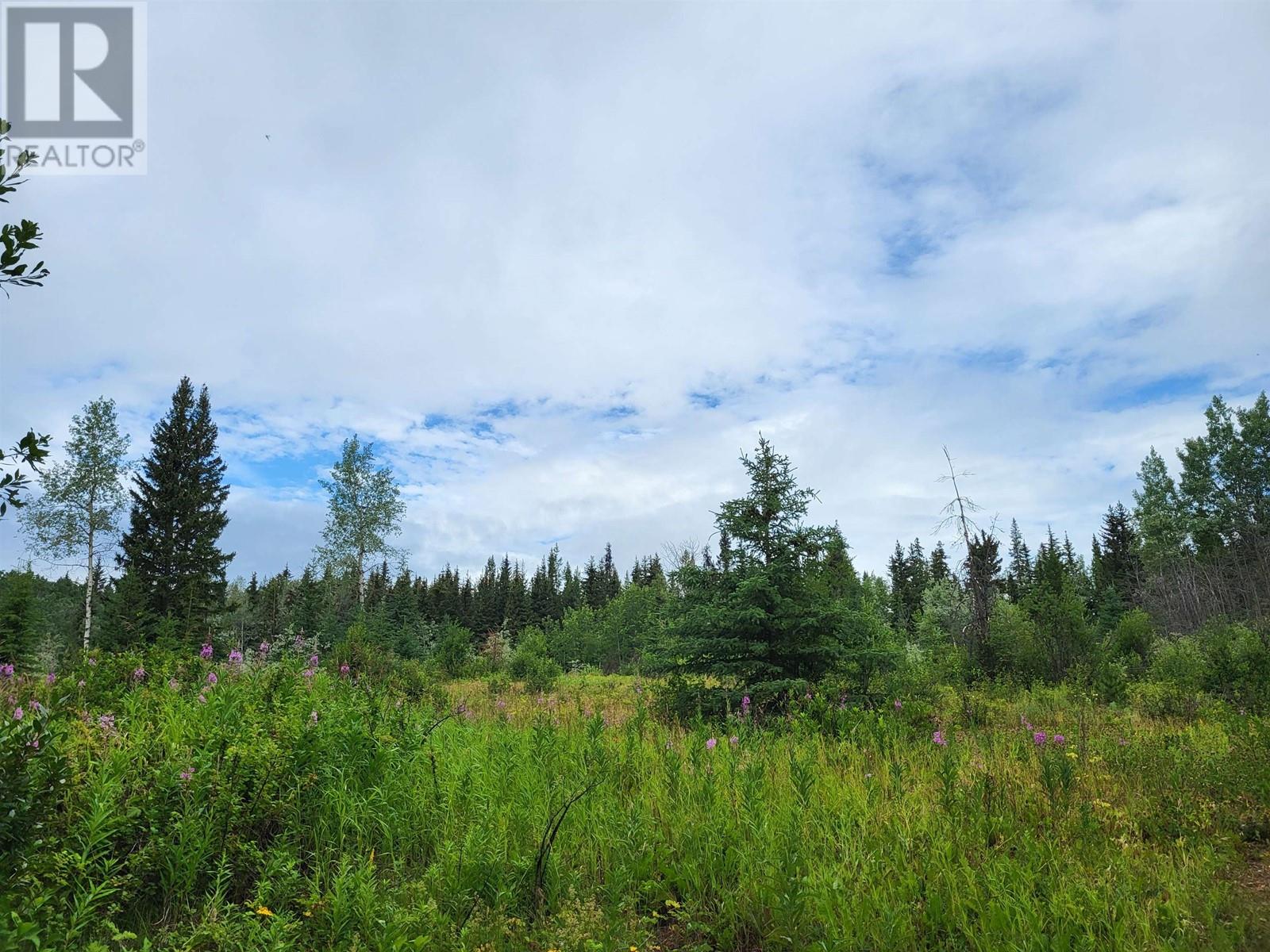 660 Sparks Road, Burns Lake, British Columbia V0J 1R0 - Photo 21 - R2915247