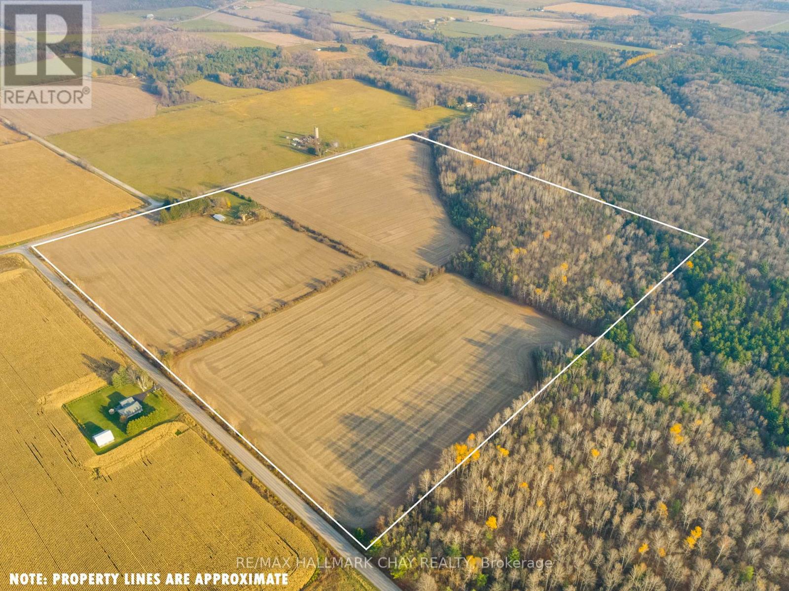700 Baseline Road S, Tiny, Ontario  L4R 4K4 - Photo 10 - S9254600