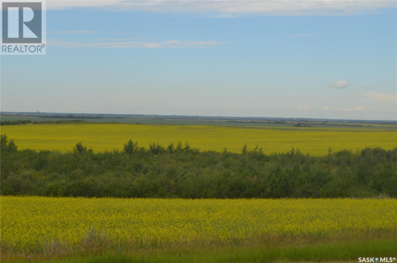 Highway #41 Land, Corman Park Rm No. 344, Saskatchewan  S7K 3J9 - Photo 18 - SK980742