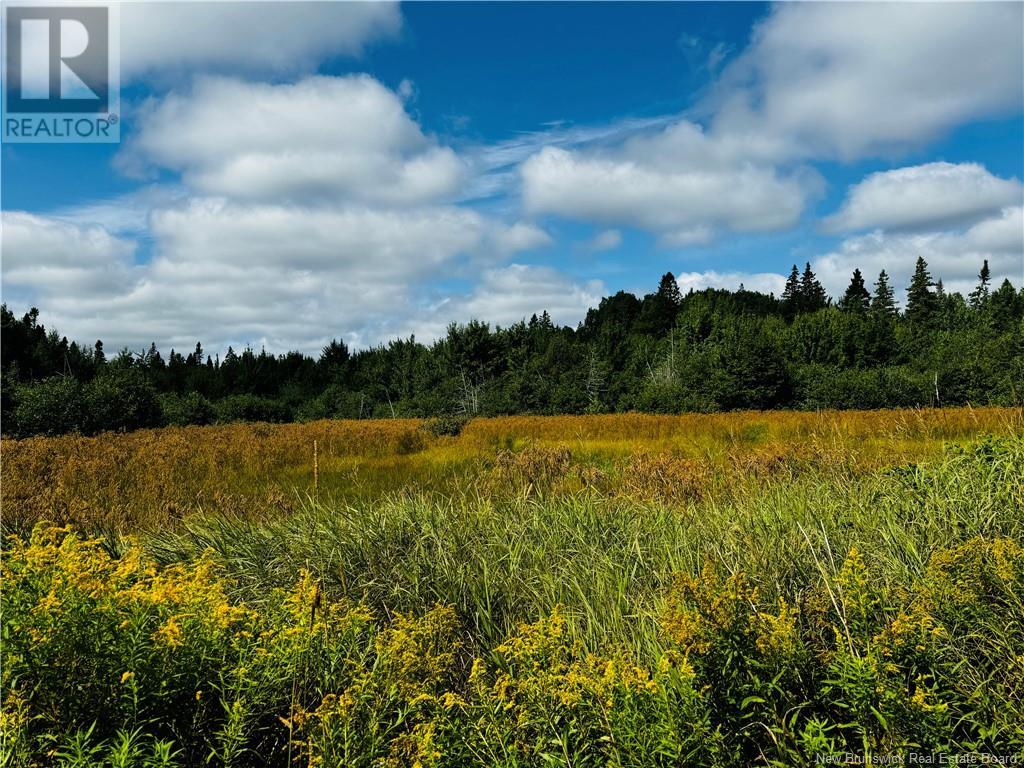 3110 Middle River, Middle River, New Brunswick  E2A 6V6 - Photo 32 - NB104356