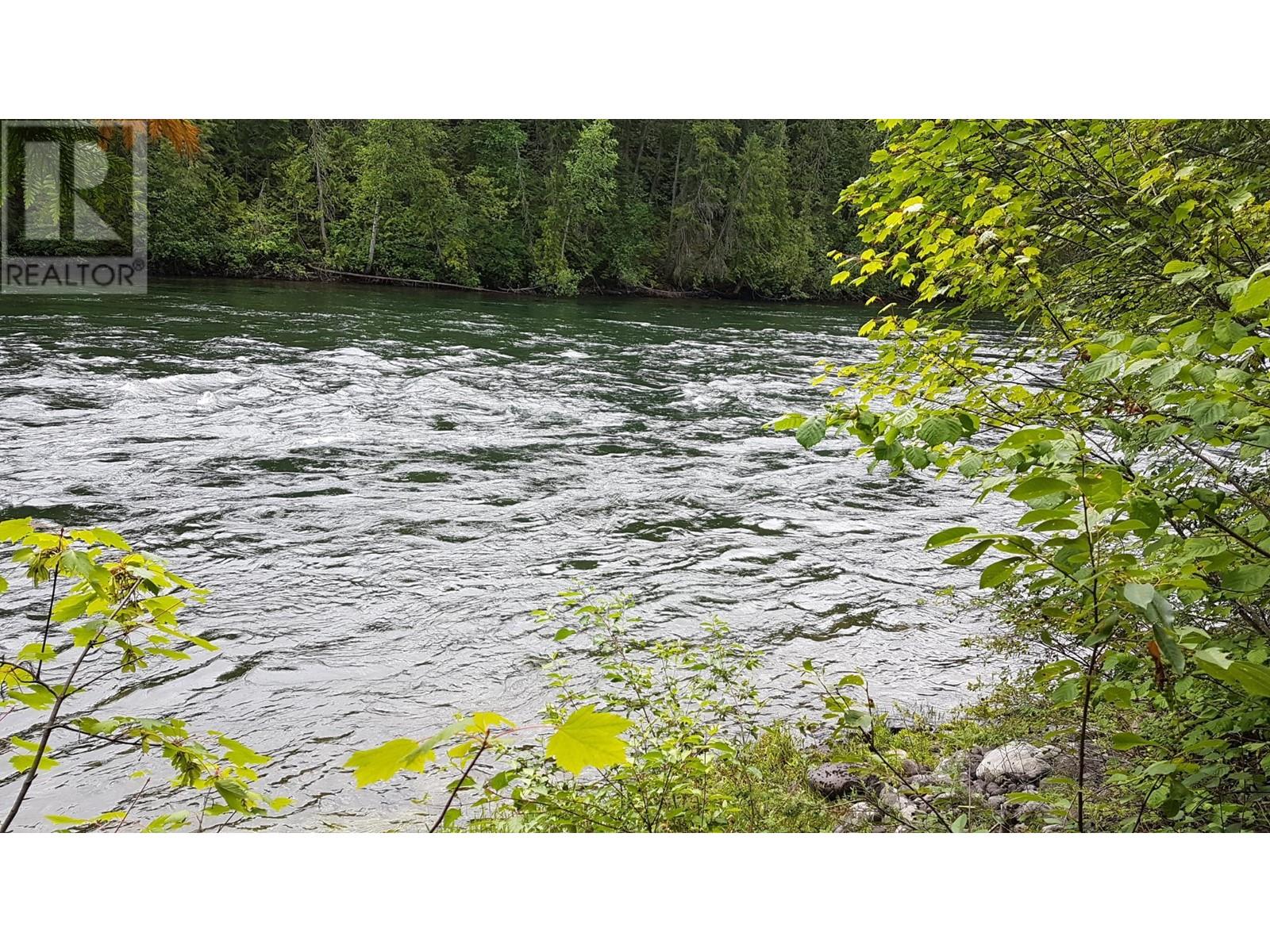 98 Old N Thompson Highway W, Clearwater, British Columbia   - Photo 13 - 180314