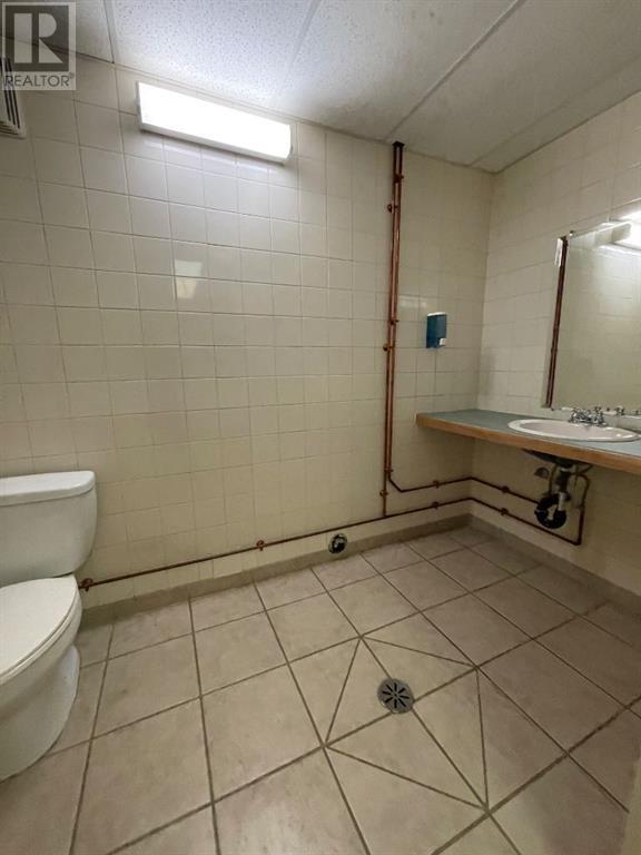 4120 53 Avenue, High Prairie, Alberta  T0G 1E0 - Photo 23 - A2075158