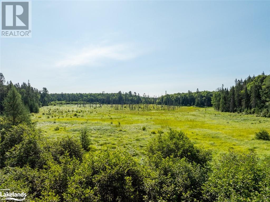 1650 Hekkla Road, Utterson, Ontario  P0C 1J0 - Photo 22 - 40634182