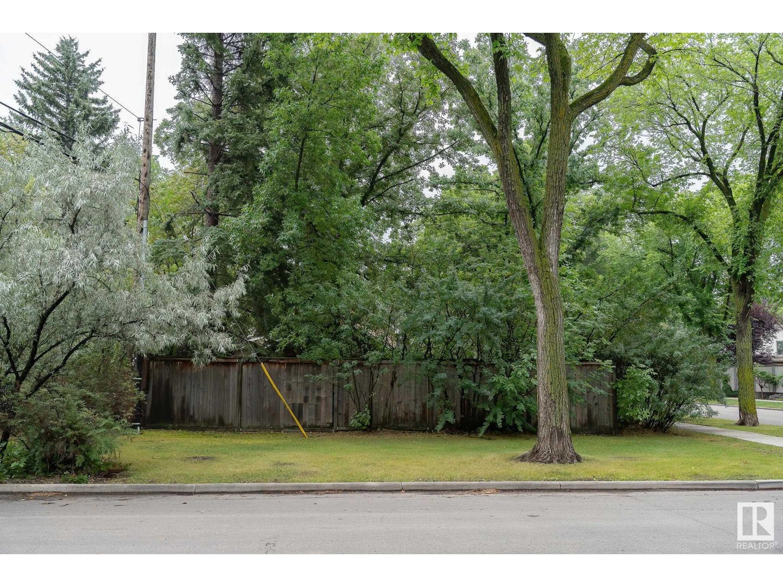 Property at 10235 134 ST NW NW image 5
