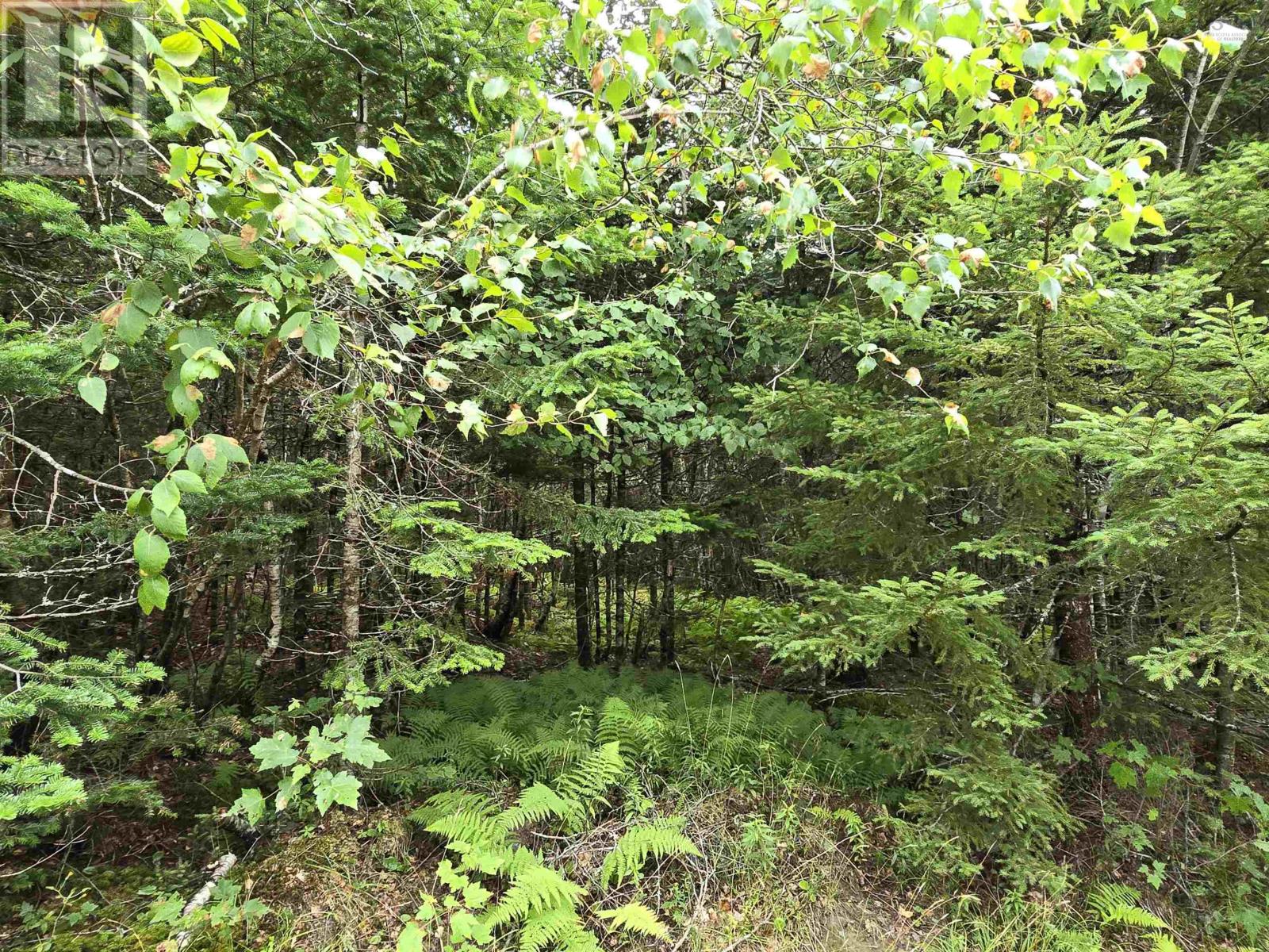 Lot 6 Lakefront Drive, Chelsea, Nova Scotia  B4V 7N2 - Photo 31 - 202419767