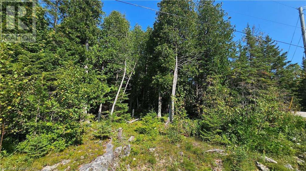 Pt Lt 35 Con 3 Wbr Murray Avenue, Northern Bruce Peninsula, Ontario  N0H 1W0 - Photo 1 - 40628765
