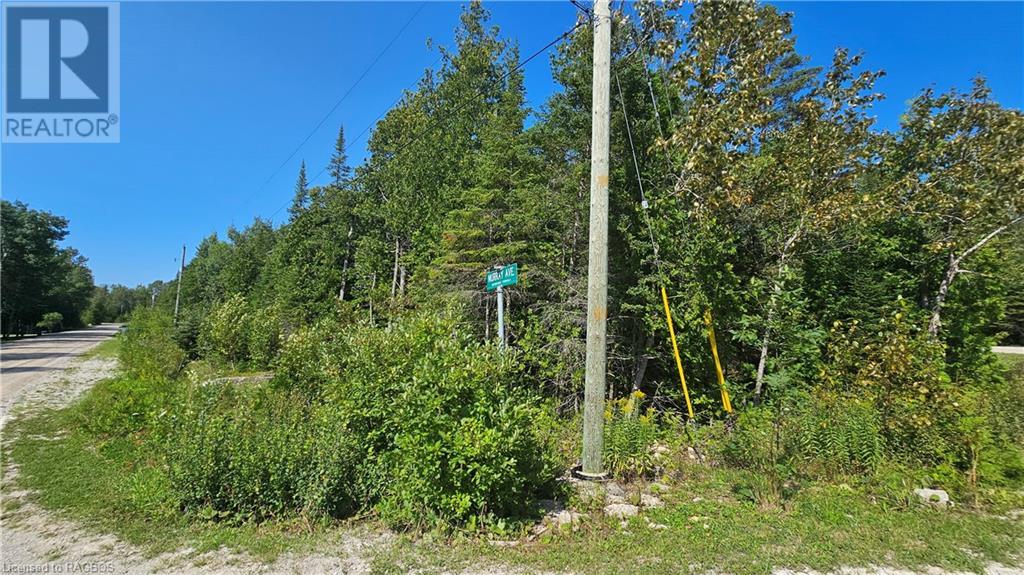 Pt Lt 35 Con 3 Wbr Murray Avenue, Northern Bruce Peninsula, Ontario  N0H 1W0 - Photo 10 - 40628765