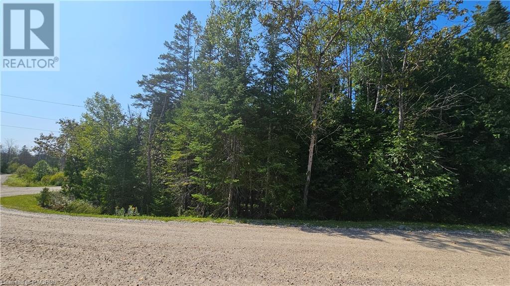 Pt Lt 35 Con 3 Wbr Murray Avenue, Northern Bruce Peninsula, Ontario  N0H 1W0 - Photo 14 - 40628765