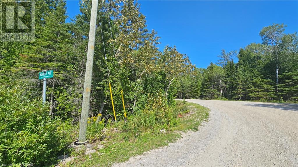 Pt Lt 35 Con 3 Wbr Murray Avenue, Northern Bruce Peninsula, Ontario  N0H 1W0 - Photo 2 - 40628765