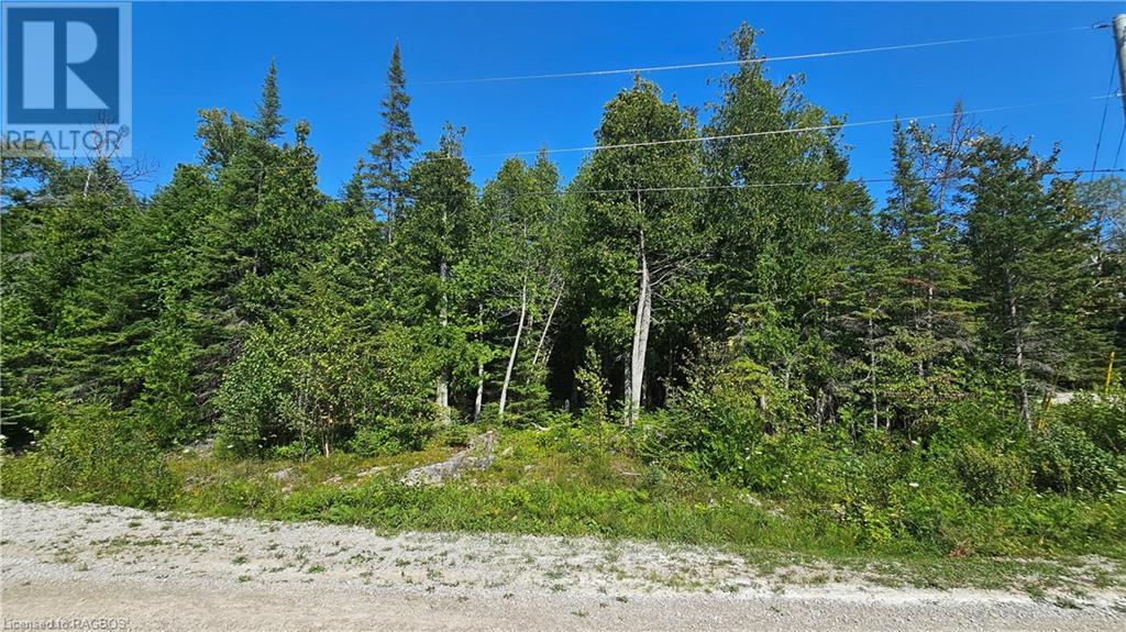 Pt Lt 35 Con 3 Wbr Murray Avenue, Northern Bruce Peninsula, Ontario  N0H 1W0 - Photo 3 - 40628765