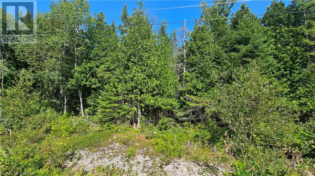Pt Lt 35 Con 3 Wbr Murray Avenue, Northern Bruce Peninsula, Ontario  N0H 1W0 - Photo 5 - 40628765