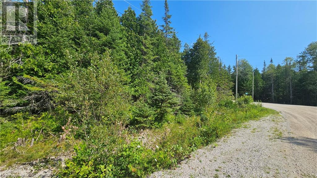 Pt Lt 35 Con 3 Wbr Murray Avenue, Northern Bruce Peninsula, Ontario  N0H 1W0 - Photo 6 - 40628765