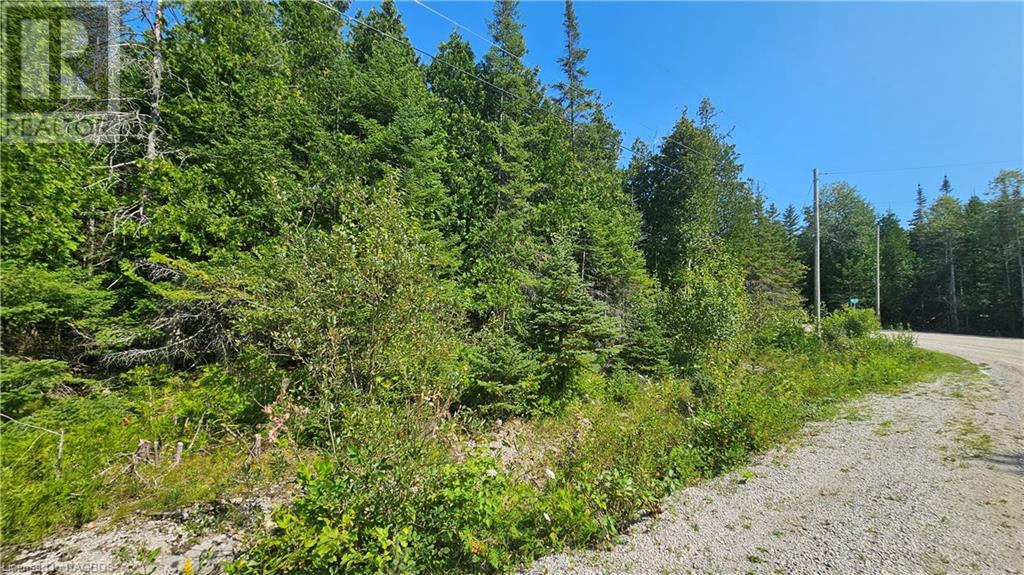 Pt Lt 35 Con 3 Wbr Murray Avenue, Northern Bruce Peninsula, Ontario  N0H 1W0 - Photo 7 - 40628765