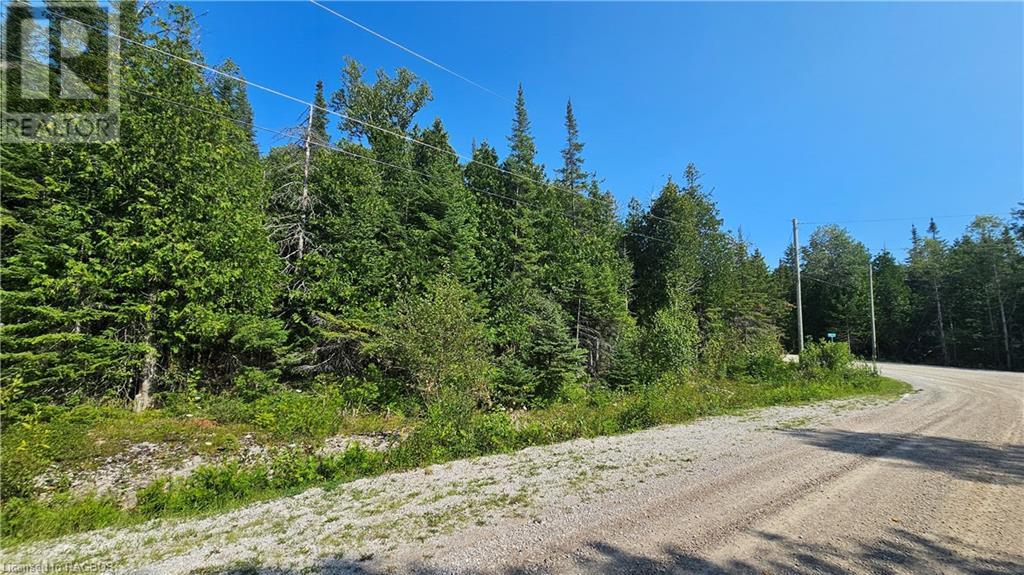 Pt Lt 35 Con 3 Wbr Murray Avenue, Northern Bruce Peninsula, Ontario  N0H 1W0 - Photo 8 - 40628765