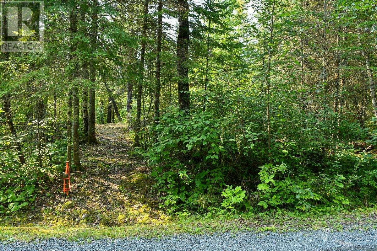 Trillium Trail, Sioux Narrows, Ontario  P0X 1N0 - Photo 6 - TB242588