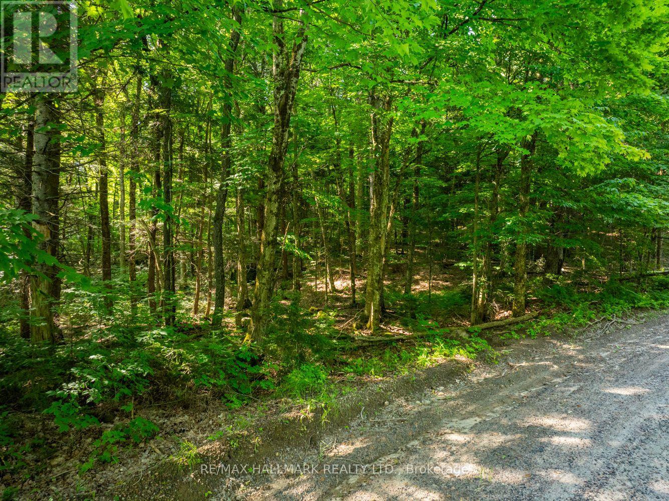 1650 Hekkla Road, Muskoka Lakes, Ontario  P0C 1J0 - Photo 15 - X9257039