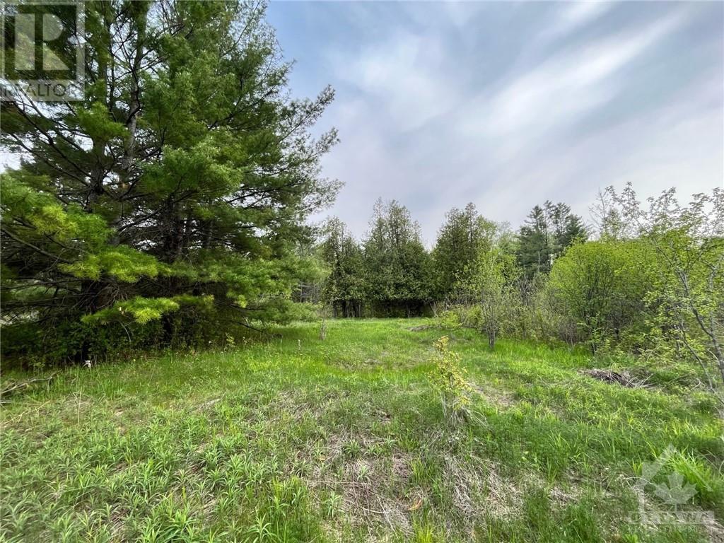 Pt Lt 19 Homesteaders Road, Fitzroy Harbour, Ontario  K0A 1X0 - Photo 8 - 1407448