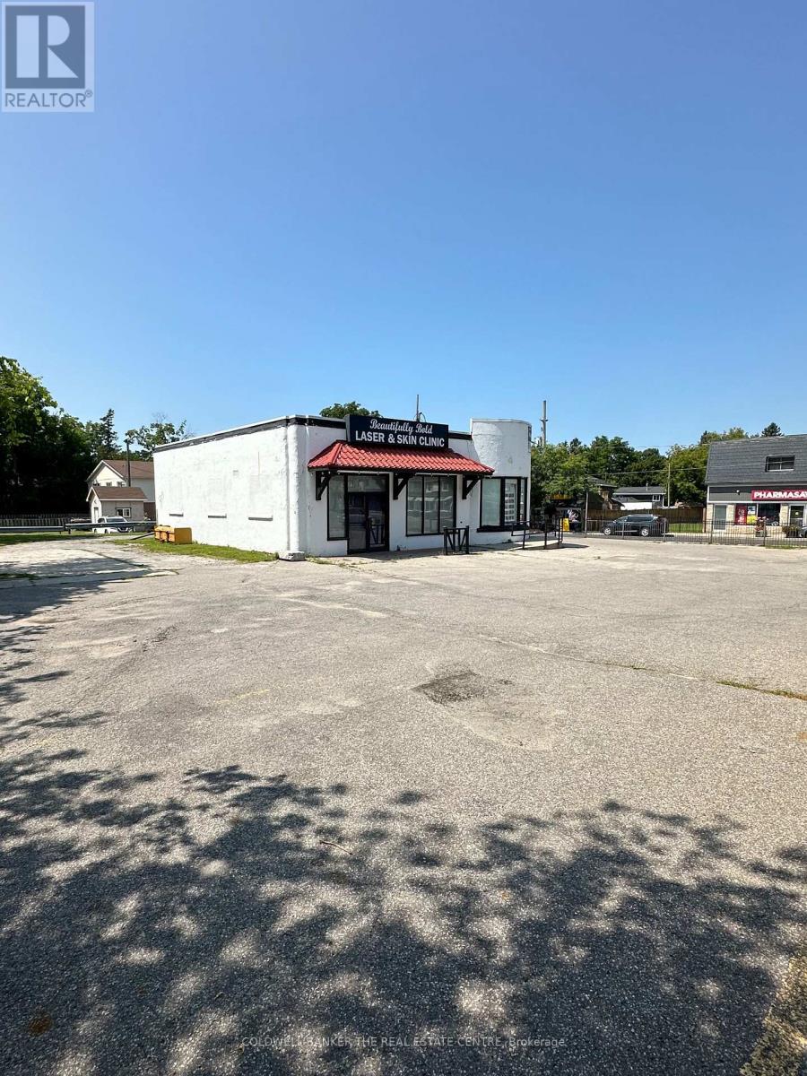 21100 Dalton Road, Georgina, Ontario  L0E 1L0 - Photo 9 - N9257650