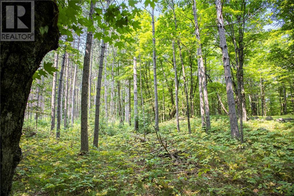 Waddle Creek Road, Lanark Highlands, Ontario  K0G 1K0 - Photo 19 - 1407359