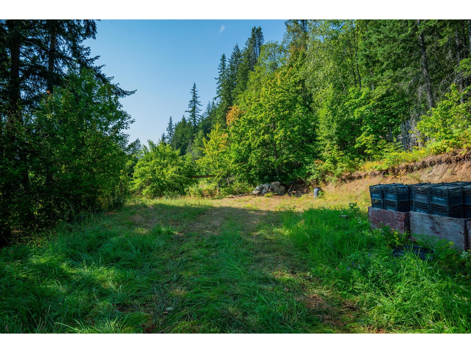 3430 Loon Lake Road, Ainsworth, British Columbia  V0G 1A0 - Photo 43 - 2479026