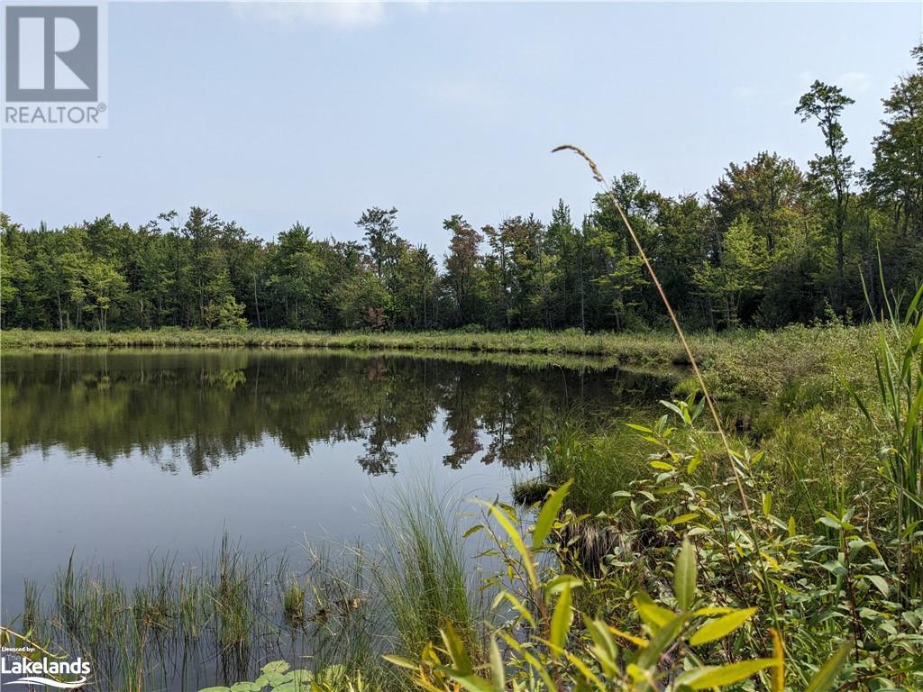 304399 South Line, West Grey, Ontario  N0C 1K0 - Photo 45 - X10434856