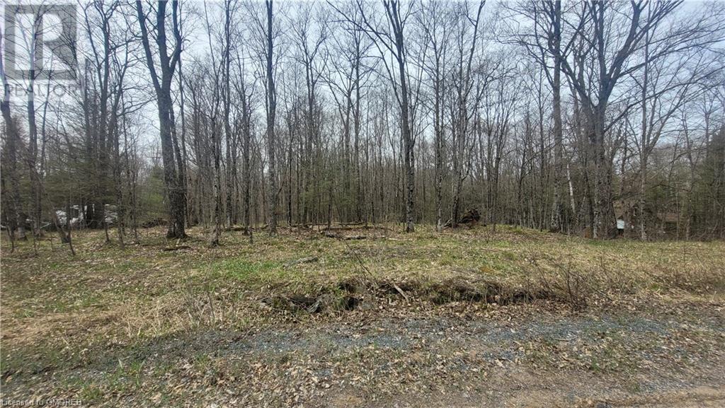 0 Clear Lake Court, Coe Hill, Ontario  K0L 1P0 - Photo 2 - 40634238