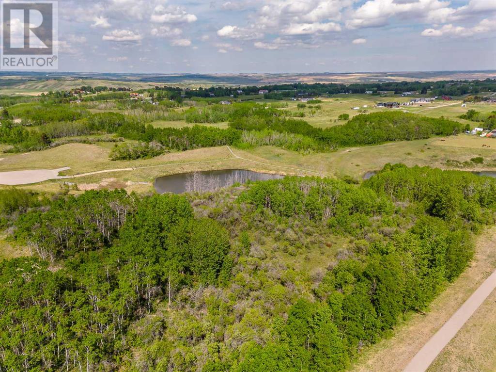 113 Silverhorn Ridge, Rural Rocky View County, Alberta  T3R 0X3 - Photo 22 - A2132069