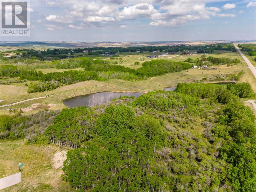 113 Silverhorn Ridge, Rural Rocky View County, Alberta  T3R 0X3 - Photo 23 - A2132069