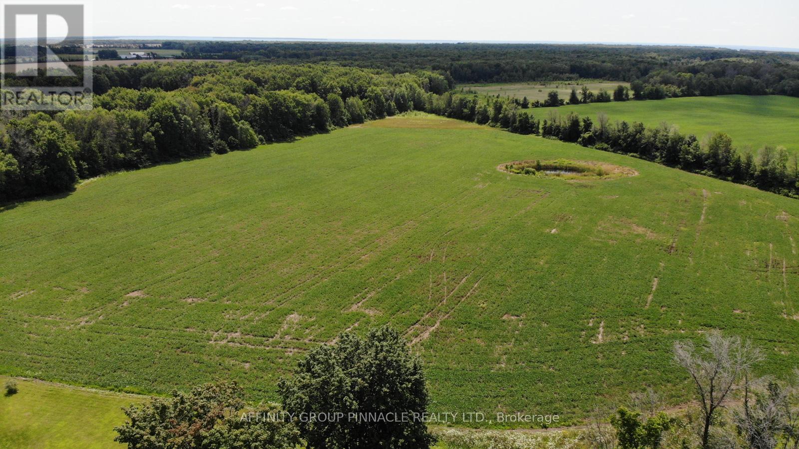 4026 Highway 12, Ramara, Ontario  L0K 1B0 - Photo 28 - S9258545