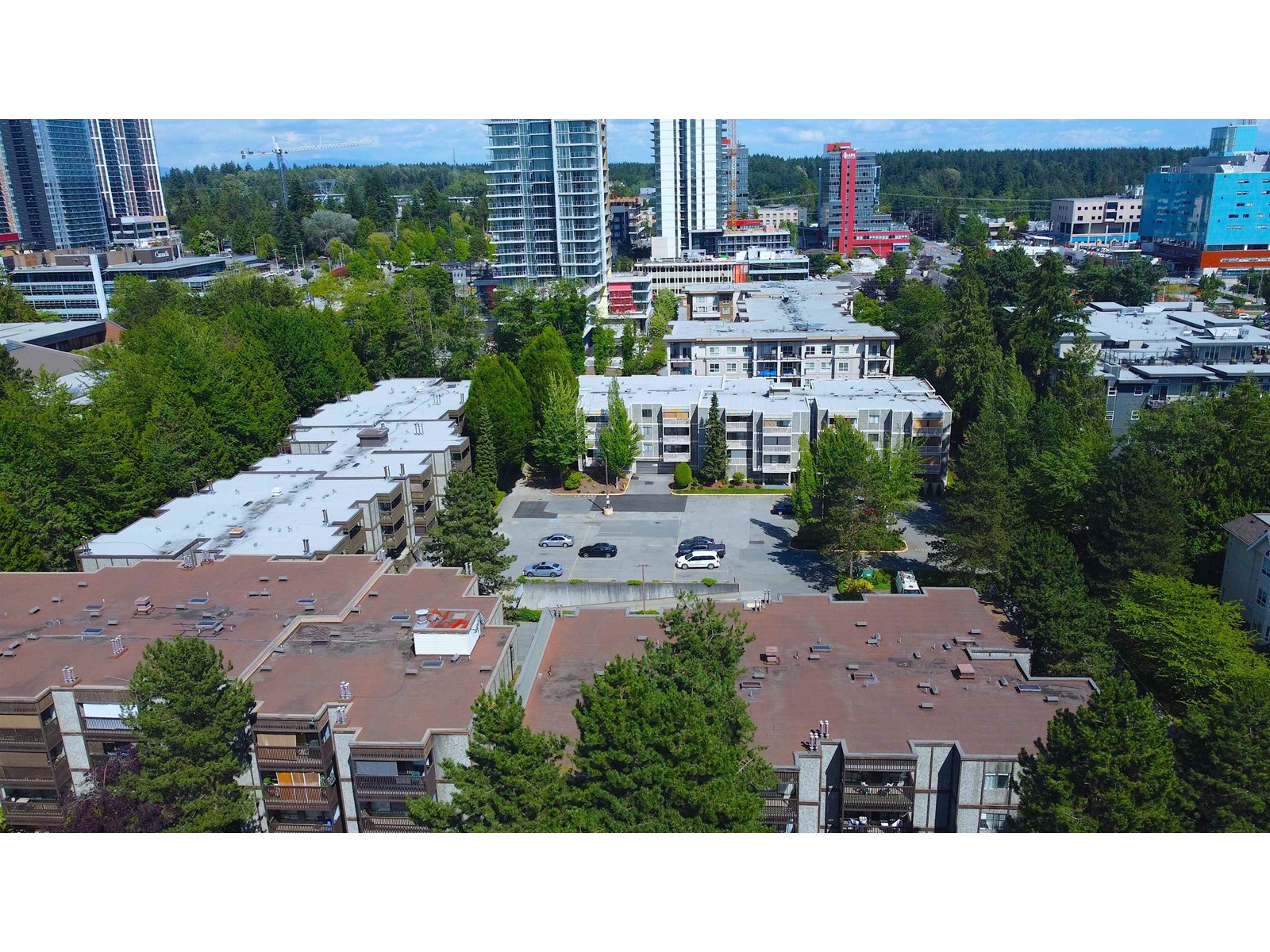 410 13501 96 Avenue, Surrey, British Columbia  V3V 7L9 - Photo 28 - R2900973