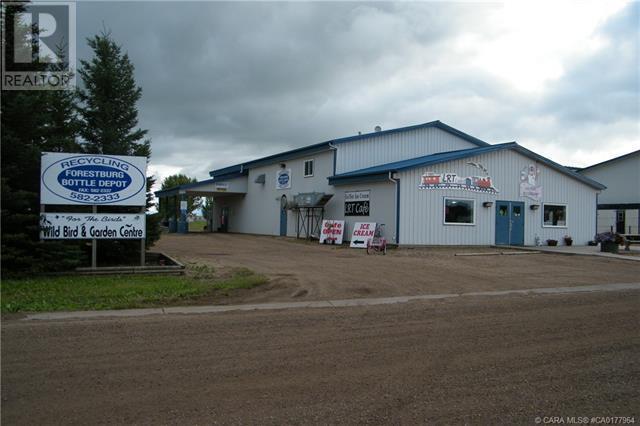 4706 43 Avenue, Forestburg, Alberta  T0B 1N0 - Photo 2 - CA0177964