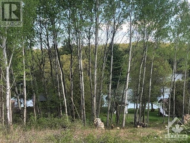 0 Downing Lane, Greater Madawaska, Ontario  K0J 1H0 - Photo 3 - X9516978