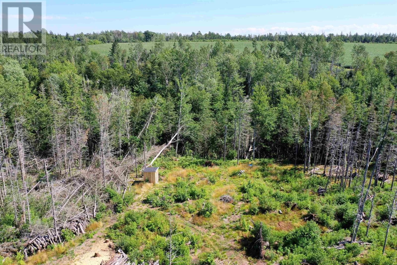 885 Livingstone Road, Rte 348, Murray River, Prince Edward Island  C0A 1W0 - Photo 13 - 202419629