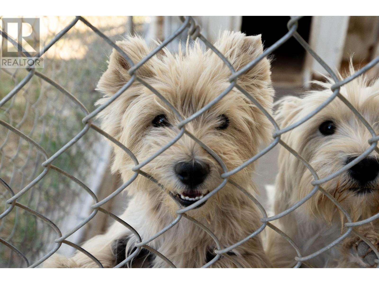 9780 Highway 97 C, Merritt, British Columbia  V1K 1M6 - Photo 41 - 180430