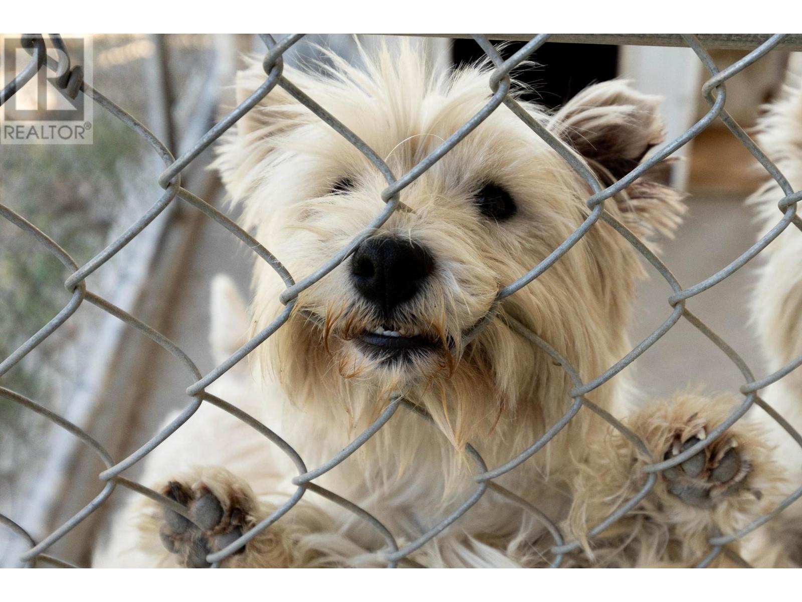 9780 Highway 97 C, Merritt, British Columbia  V1K 1M6 - Photo 48 - 180430