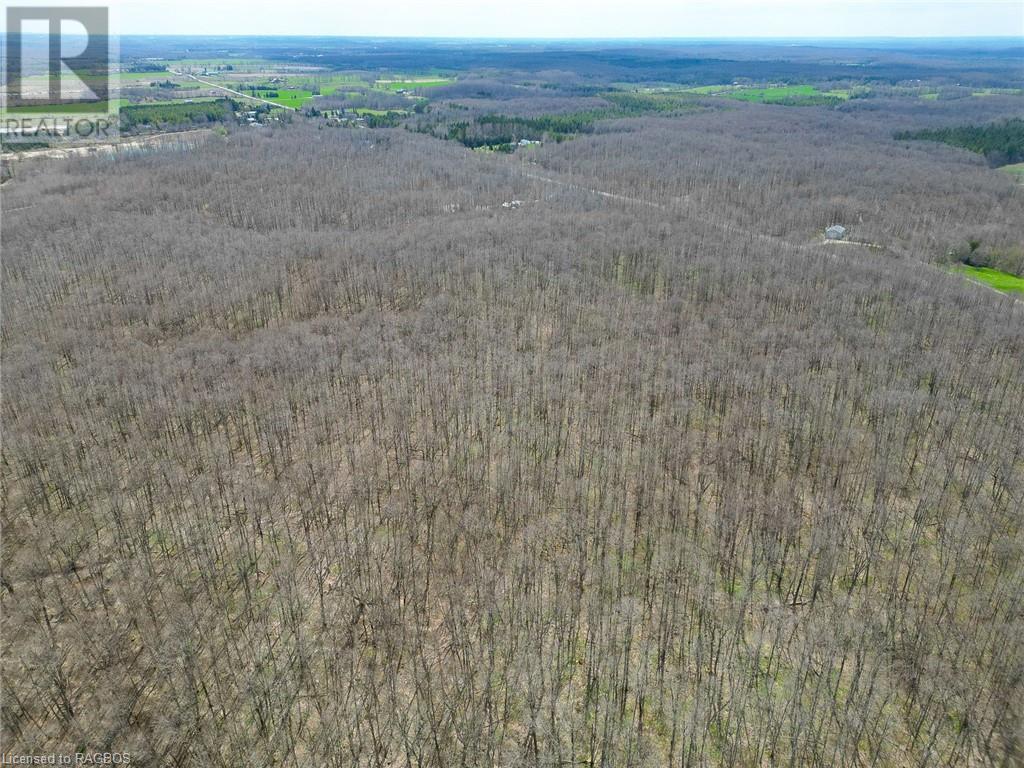 Pt Lt 8 4th Line, Town Of Blue Mountains, Ontario  N0H 2E0 - Photo 9 - 40635027