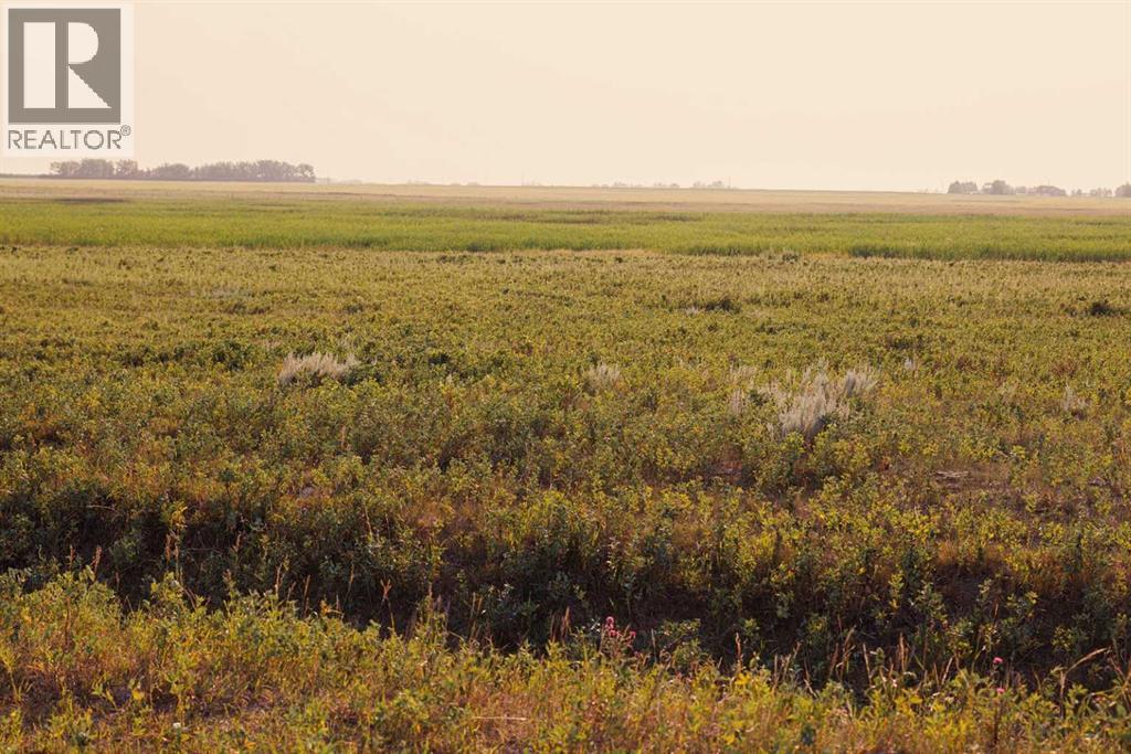 Parcel 8 Range Road 271 Just South Of Highway 9., Rural Rocky View County, Alberta  T0M 1G0 - Photo 6 - A2158857