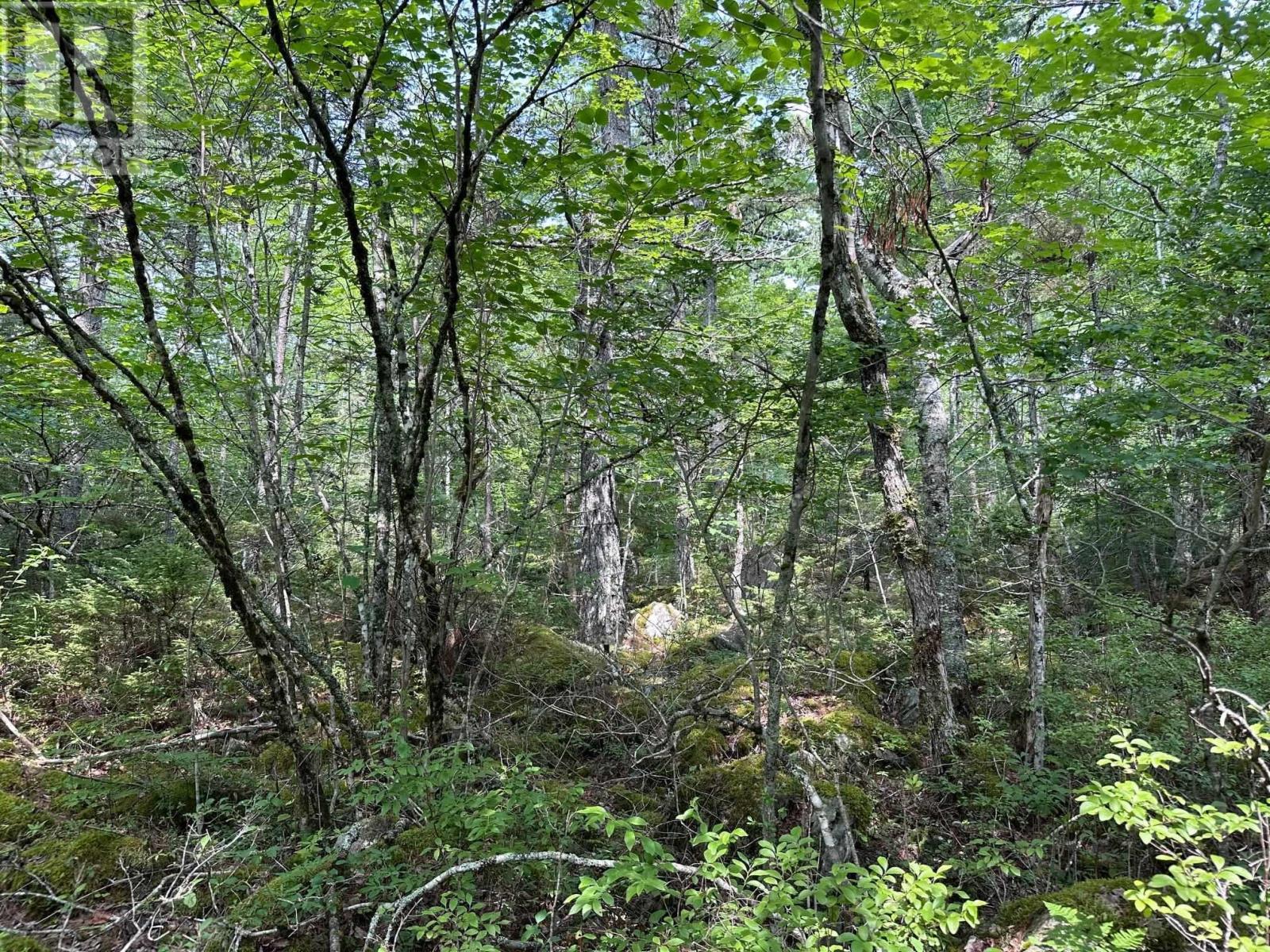 Lot 14 Forest Close, Labelle, Nova Scotia  B0T 1E0 - Photo 8 - 202420063