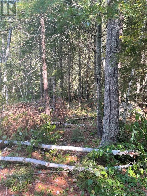 80 Whittier Road, Rollingdam, New Brunswick