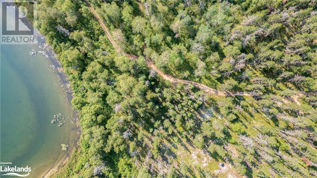 0 N Munro Lake Road, Black River-Matheson, Ontario  A0A 0A0 - Photo 15 - 40634852