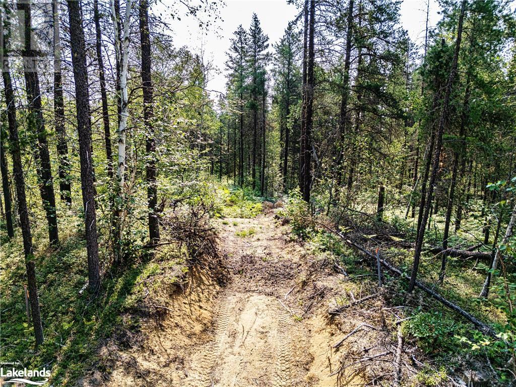 0 N Munro Lake Road, Black River-Matheson, Ontario  A0A 0A0 - Photo 4 - 40634852