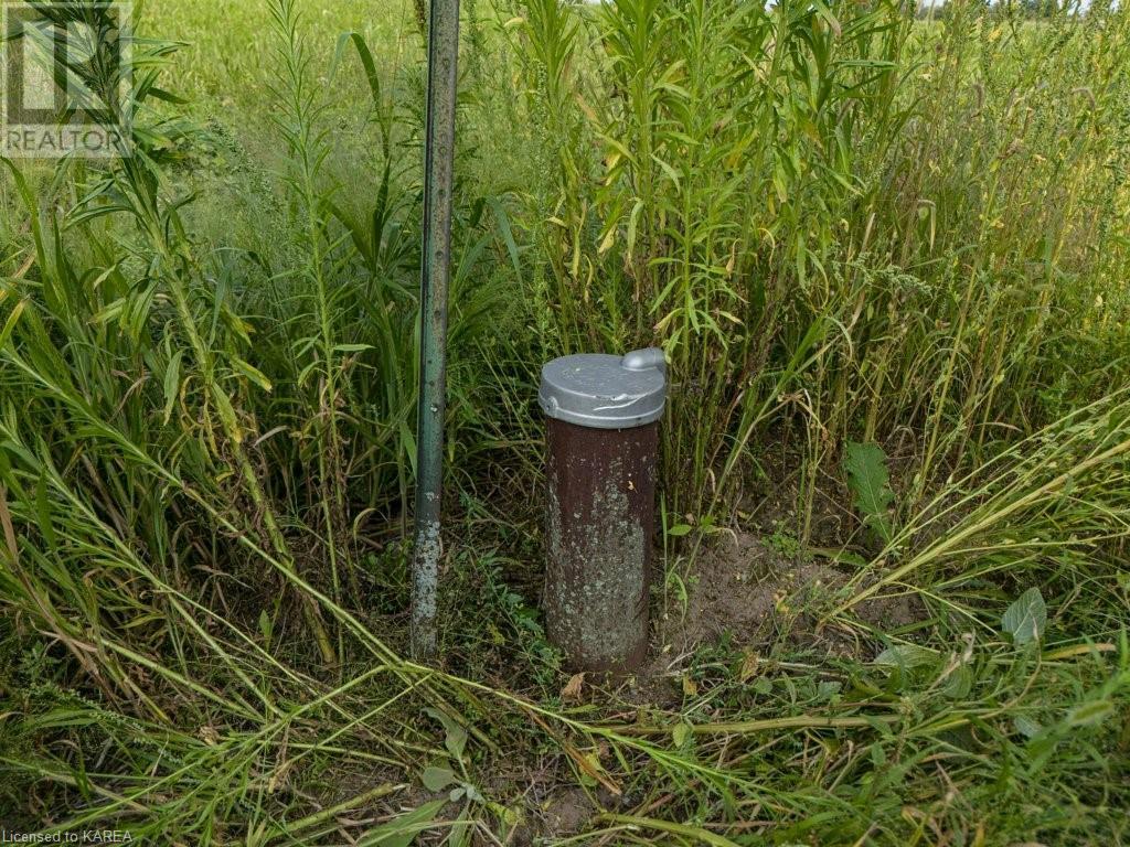 Pt Lt 7 Con 4 County 11 Road W, Napanee, Ontario  K0K 2Z0 - Photo 16 - 40635656