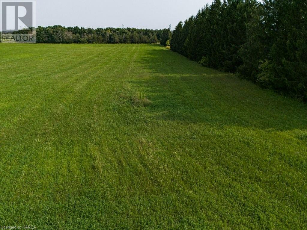 Pt Lt 7 Con 4 County 11 Road W, Napanee, Ontario  K0K 2Z0 - Photo 9 - 40635656