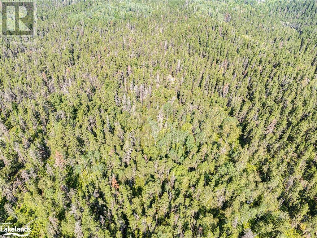 0 N Munro Lake Road Unit# Lot 5, Black River-Matheson, Ontario  A0A 0A0 - Photo 10 - 40635620