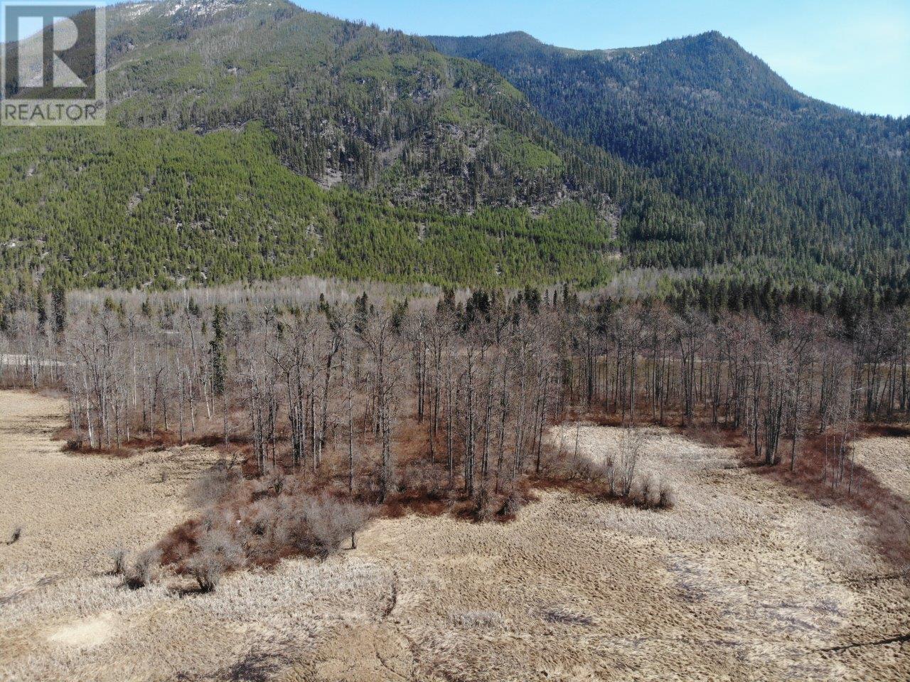 Dl 3069 Messiter Station Rd, Clearwater, British Columbia  V0E 1C0 - Photo 19 - 180447