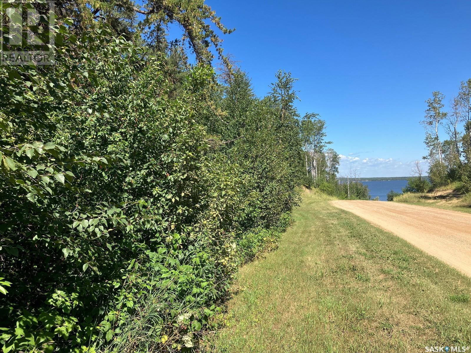 4.49 Acre Lot At Tobin Lake - Lakeview, Tobin Lake, Saskatchewan  S0E 1E0 - Photo 12 - SK979480
