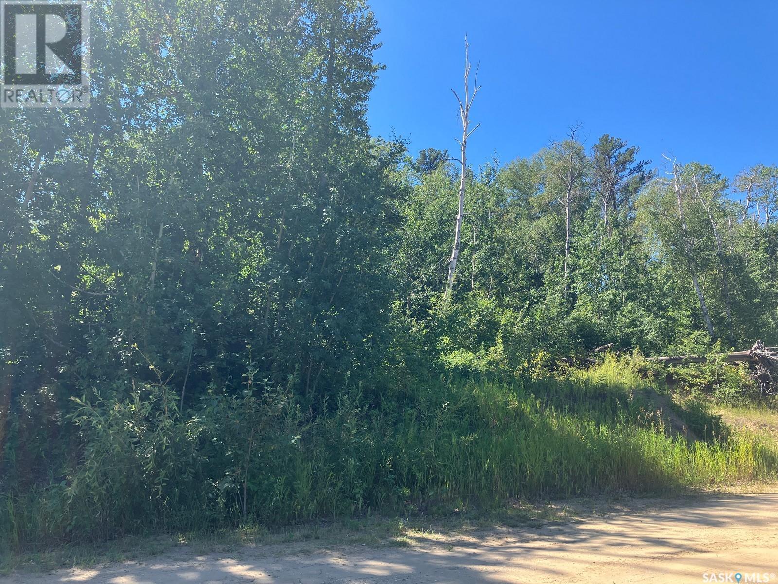 4.49 Acre Lot At Tobin Lake - Lakeview, Tobin Lake, Saskatchewan  S0E 1E0 - Photo 15 - SK979480