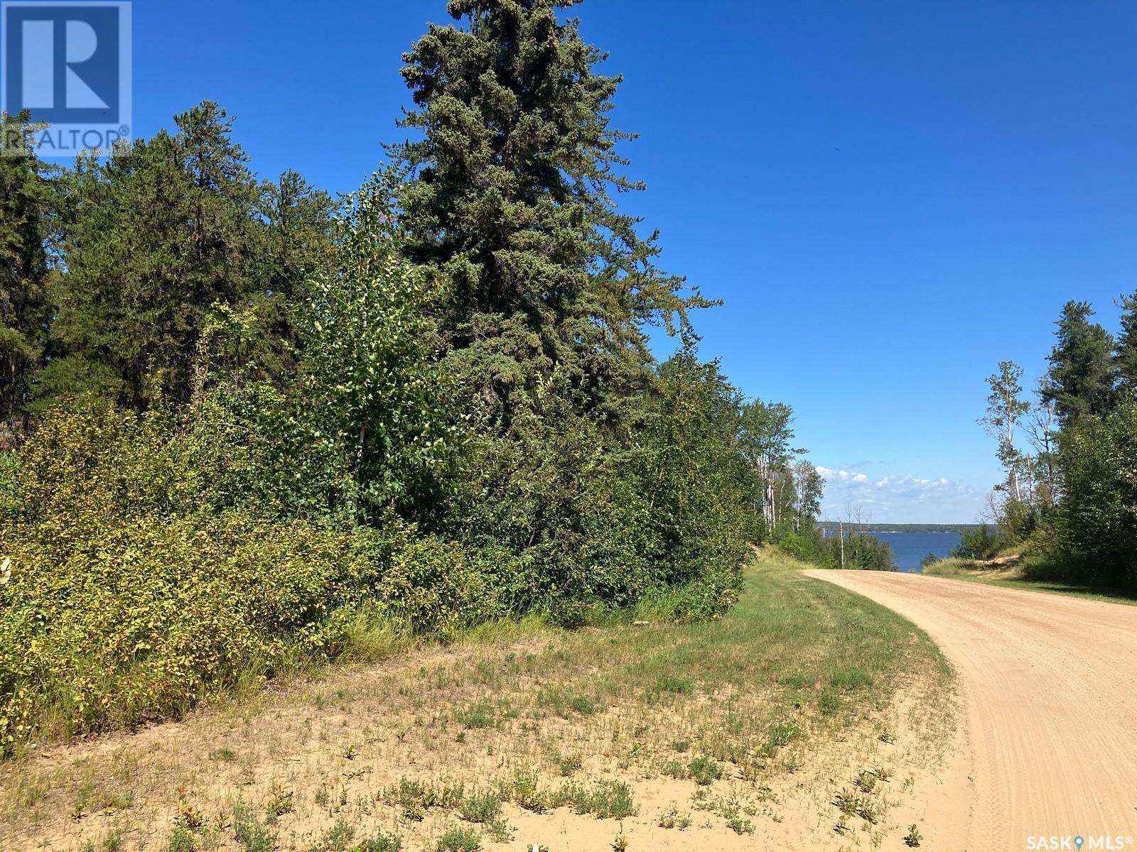 4.49 Acre Lot At Tobin Lake - Lakeview, Tobin Lake, Saskatchewan  S0E 1E0 - Photo 11 - SK979480