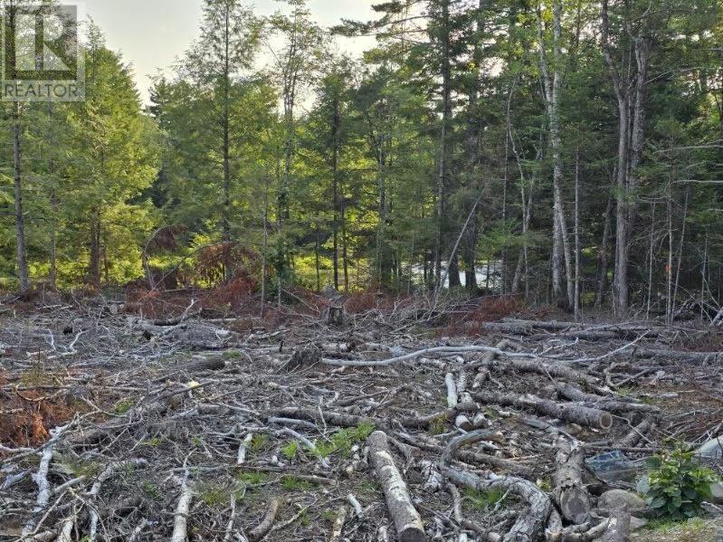 Lot 2 Riverside Drive, Molega, Nova Scotia  B0T 1X0 - Photo 3 - 202419989