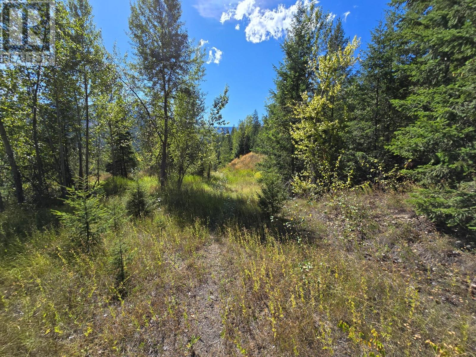 2584 Kp Road, Clearwater, British Columbia   - Photo 10 - 180459